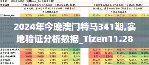 2024年今晚澳门特马341期,实地验证分析数据_Tizen11.288