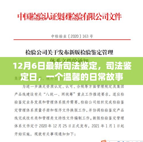 司法鉴定日，温馨日常故事揭晓