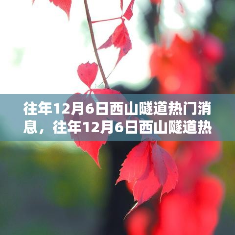 往年12月6日西山隧道热门消息回顾与一览