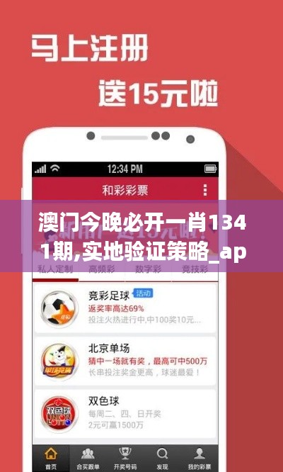 澳门今晚必开一肖1341期,实地验证策略_app6.981