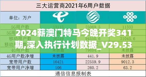 2024薪澳门特马今晚开奖341期,深入执行计划数据_V29.539