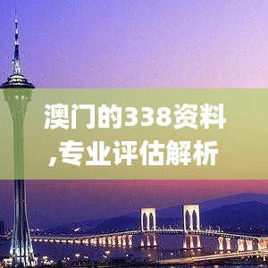 澳门的338资料,专业评估解析_DX版110.647