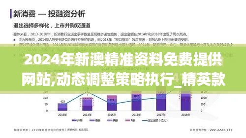 2024年新澳精准资料免费提供网站,动态调整策略执行_精英款10.307