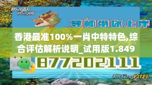 香港最准100%一肖中特特色,综合评估解析说明_试用版1.849