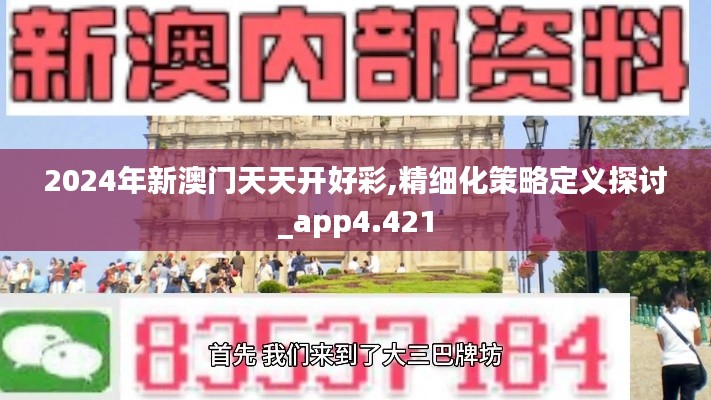 2024年新澳门天天开好彩,精细化策略定义探讨_app4.421