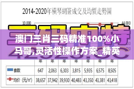 澳门三肖三码精准100%小马哥,灵活性操作方案_精英款6.972