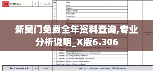 新奥门免费全年资料查询,专业分析说明_X版6.306