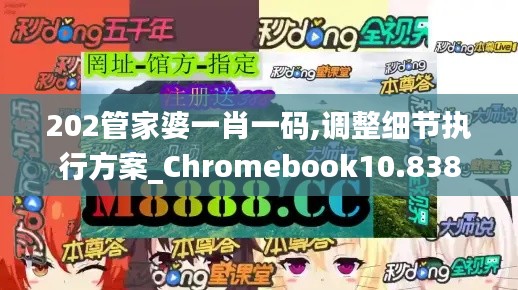 202管家婆一肖一码,调整细节执行方案_Chromebook10.838