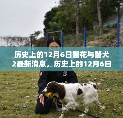 历史上的12月6日，警花与警犬的最新动态及消息速递