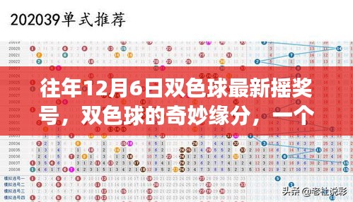 往年12月6日双色球最新摇奖号，双色球的奇妙缘分，一个关于友情、梦想与温馨日常的温馨故事