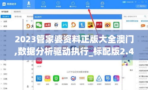 2023管家婆资料正版大全澳门,数据分析驱动执行_标配版2.486