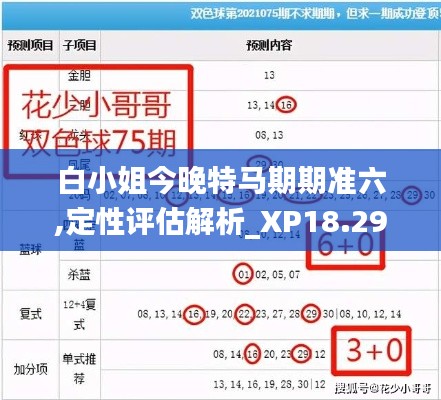 白小姐今晚特马期期准六,定性评估解析_XP18.296