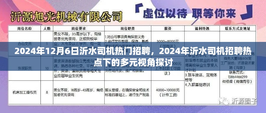 多元视角探讨下的沂水司机招聘热点，探寻未来趋势与机遇