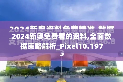 2024新奥免费看的资料,全面数据策略解析_Pixel10.197