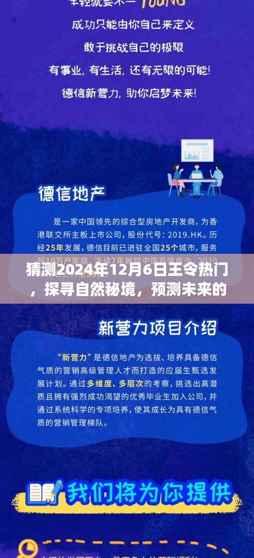 猜测2024年12月6日王令热门，探寻自然秘境，预测未来的王令热门之旅，一场远离尘嚣的心灵觉醒之旅