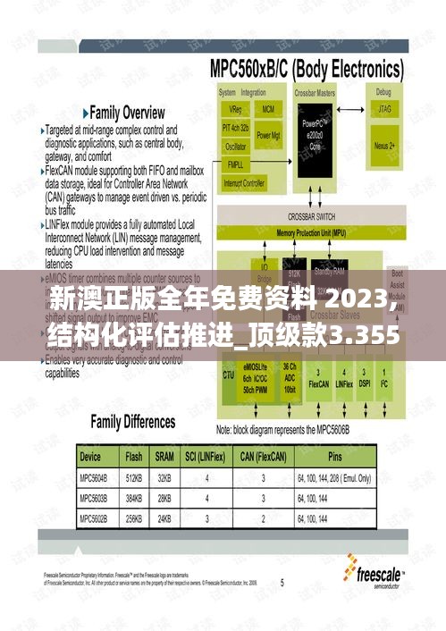 新澳正版全年免费资料 2023,结构化评估推进_顶级款3.355