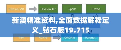 新澳精准资料,全面数据解释定义_钻石版19.715