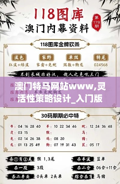 澳门特马网站www,灵活性策略设计_入门版1.794