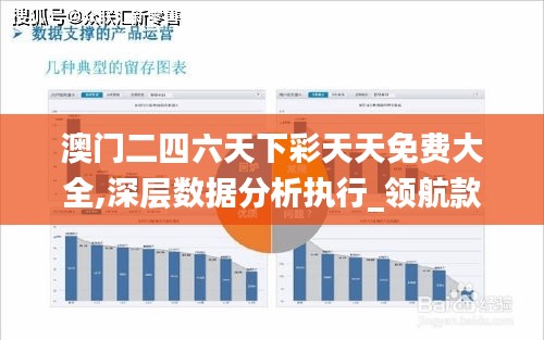 澳门二四六天下彩天天免费大全,深层数据分析执行_领航款1.507