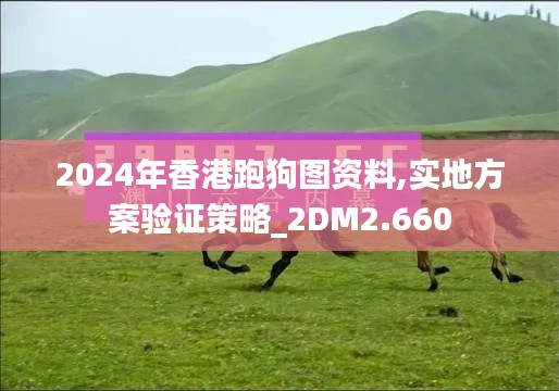 2024年香港跑狗图资料,实地方案验证策略_2DM2.660