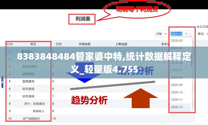 8383848484管家婆中特,统计数据解释定义_轻量版4.755