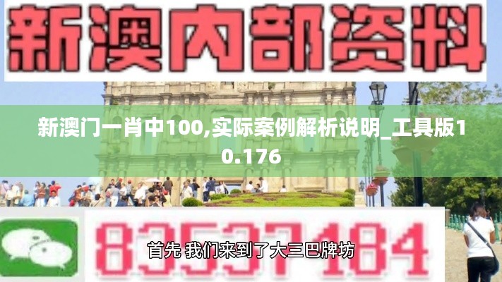 新澳门一肖中100,实际案例解析说明_工具版10.176