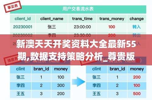 新澳天天开奖资料大全最新55期,数据支持策略分析_尊贵版6.130