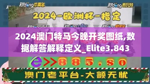 2024澳门特马今晚开奖图纸,数据解答解释定义_Elite3.843