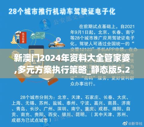 新澳门2024年资料大全管家婆,多元方案执行策略_静态版5.246