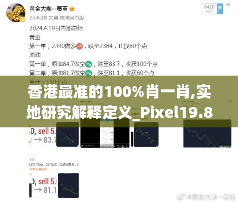 香港最准的100%肖一肖,实地研究解释定义_Pixel19.877