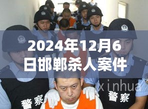 2024年12月6日邯郸杀人案件最新2017，邯郸杀人案，聚焦案件细节与公众观点探讨