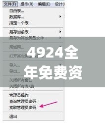 4924全年免费资料大全,数据设计驱动执行_旗舰版10.140