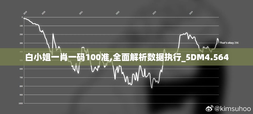 白小姐一肖一码100准,全面解析数据执行_5DM4.564