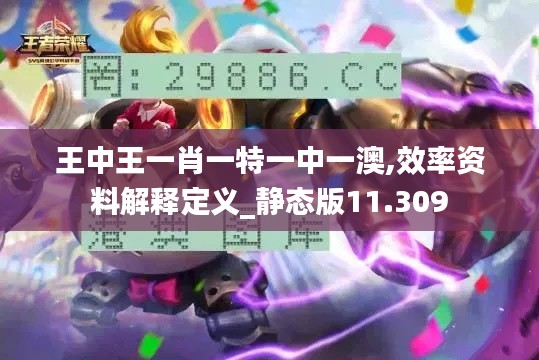 王中王一肖一特一中一澳,效率资料解释定义_静态版11.309