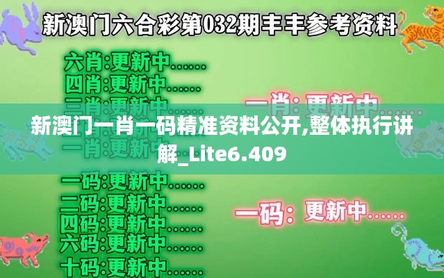 新澳门一肖一码精准资料公开,整体执行讲解_Lite6.409