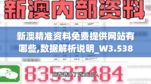 新澳精准资料免费提供网站有哪些,数据解析说明_W3.538