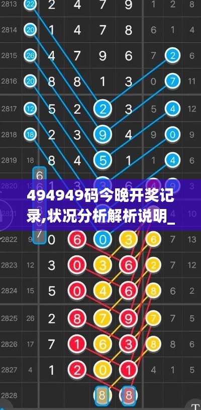 494949码今晚开奖记录,状况分析解析说明_战斗版9.403