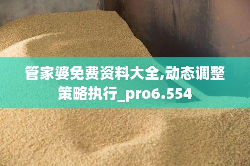 管家婆免费资料大全,动态调整策略执行_pro6.554