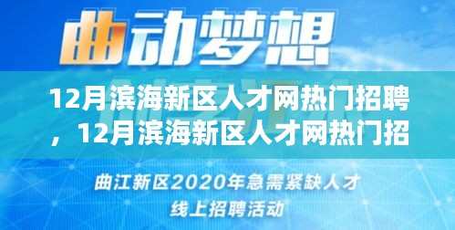 12月滨海新区人才网热门招聘，12月滨海新区人才网热门招聘探秘，求职者的黄金机遇