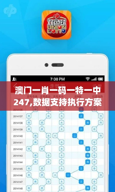 澳门一肖一码一特一中247,数据支持执行方案_Elite9.988