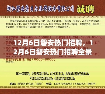 12月6日磐安热门招聘，12月6日磐安热门招聘全景解析，职场人的黄金机会日