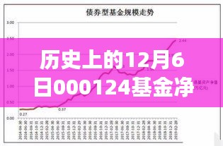 历史上的基金净值分析，以12月6日为例，探究金融脉络与今日热门净值