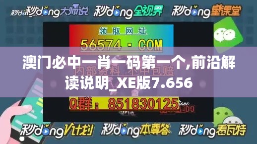 澳门必中一肖一码第一个,前沿解读说明_XE版7.656