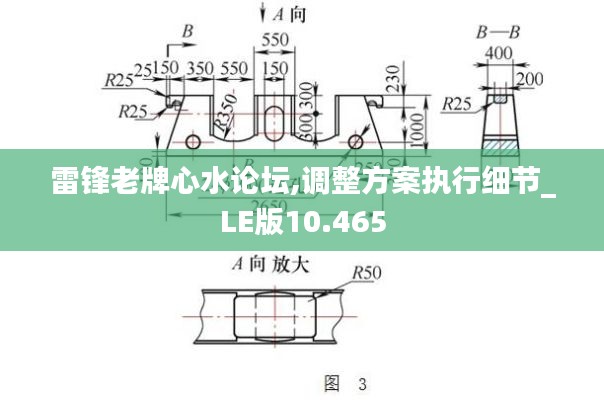 雷锋老牌心水论坛,调整方案执行细节_LE版10.465