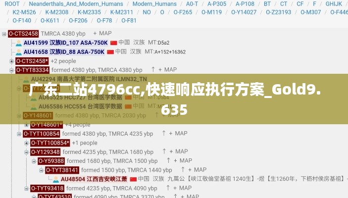 广东二站4796cc,快速响应执行方案_Gold9.635