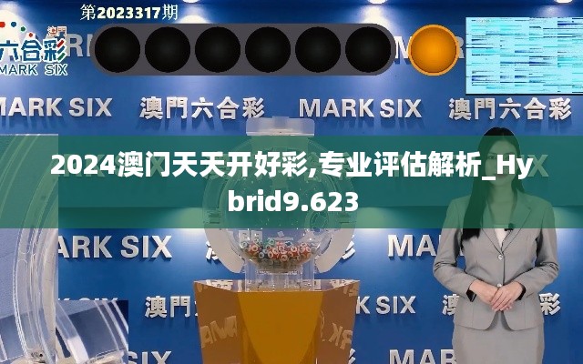 2024澳门天天开好彩,专业评估解析_Hybrid9.623