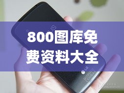 800图库免费资料大全2024,完善的机制评估_Nexus2.442