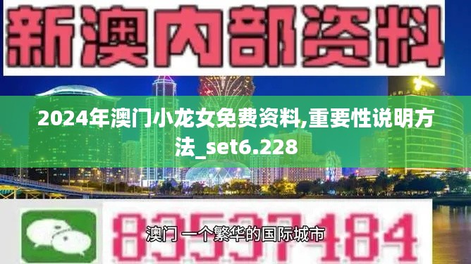 2024年澳门小龙女免费资料,重要性说明方法_set6.228