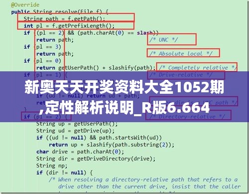 新奥天天开奖资料大全1052期,定性解析说明_R版6.664