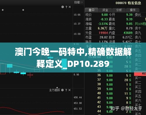 澳门今晚一码特中,精确数据解释定义_DP10.289